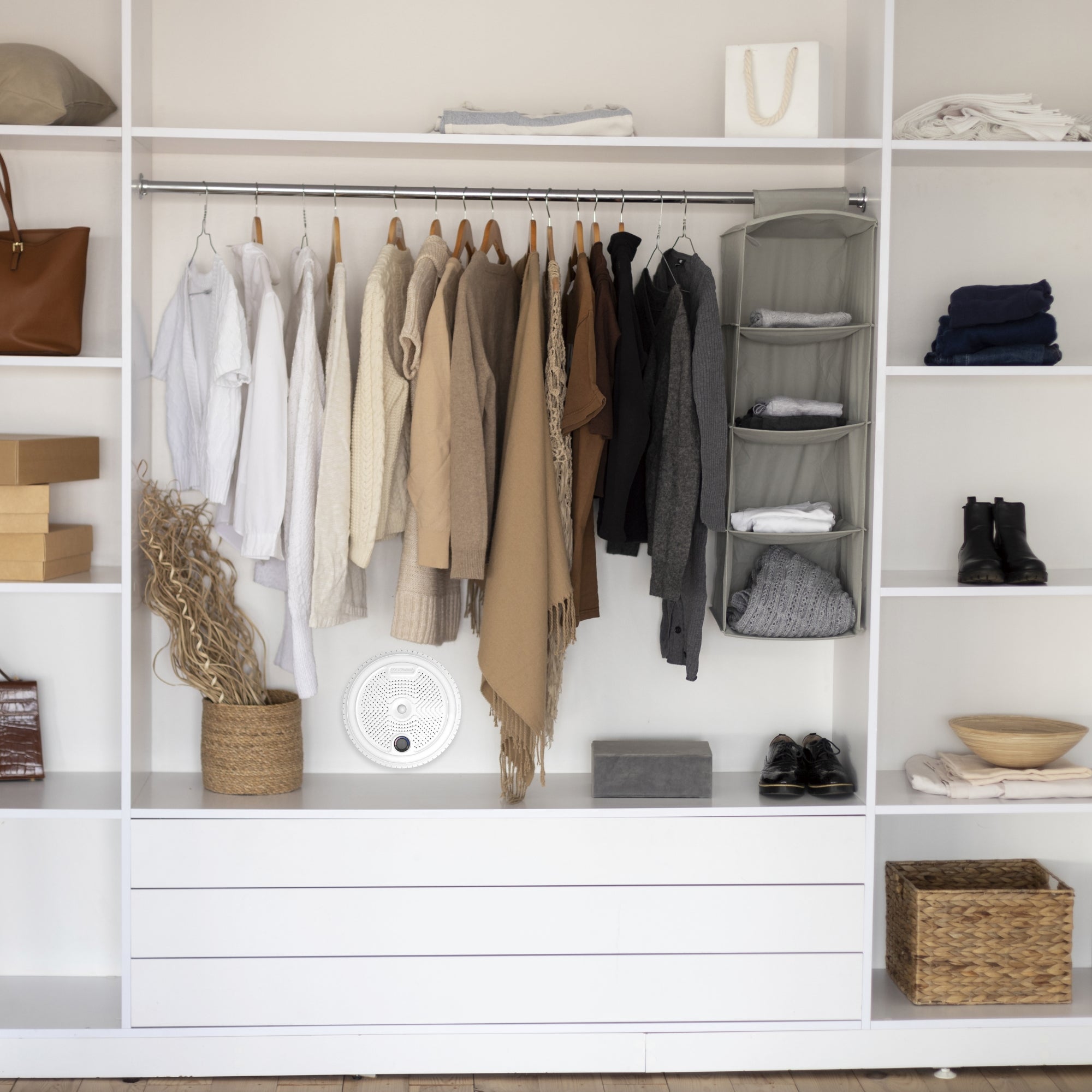 MAXSafes® 2-in-1 Dehumidifier with LED Light