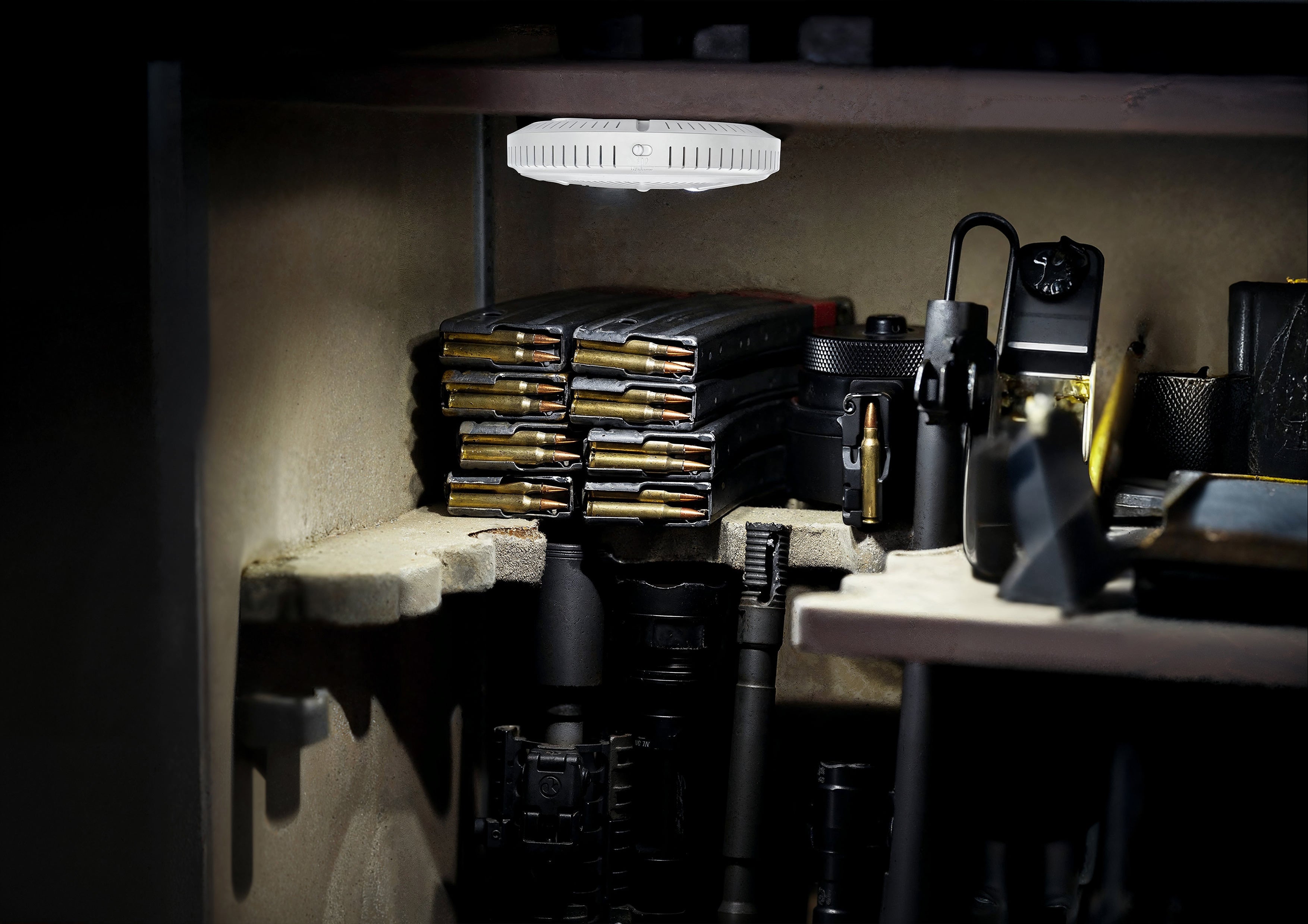 MAXSafes® 2-in-1 Dehumidifier with LED Light