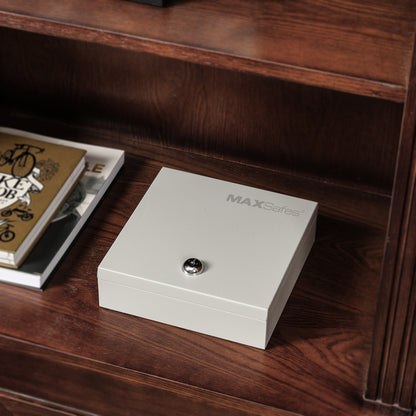 MAXSafes® 0.04 CF Cash Box-White